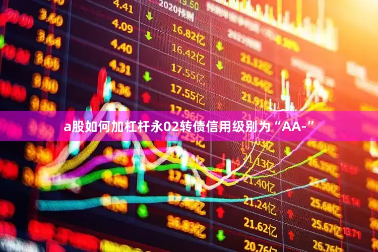 a股如何加杠杆永02转债信用级别为“AA-”