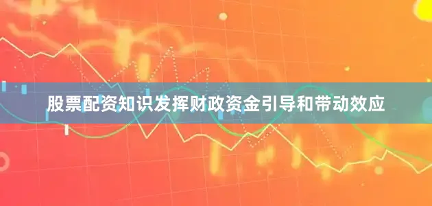 股票配资知识发挥财政资金引导和带动效应