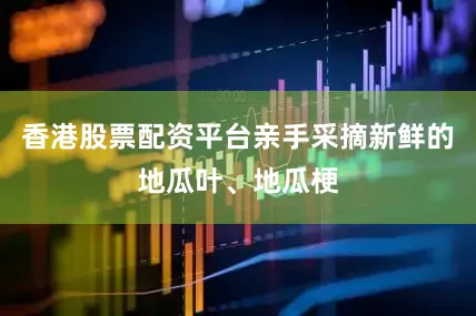 香港股票配资平台亲手采摘新鲜的地瓜叶、地瓜梗