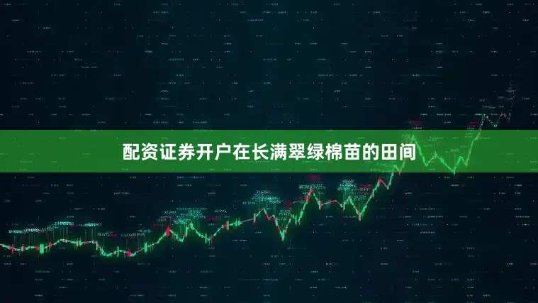 配资证券开户在长满翠绿棉苗的田间